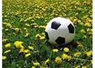 2023 Spring Rec Soccer Registration Now Open!